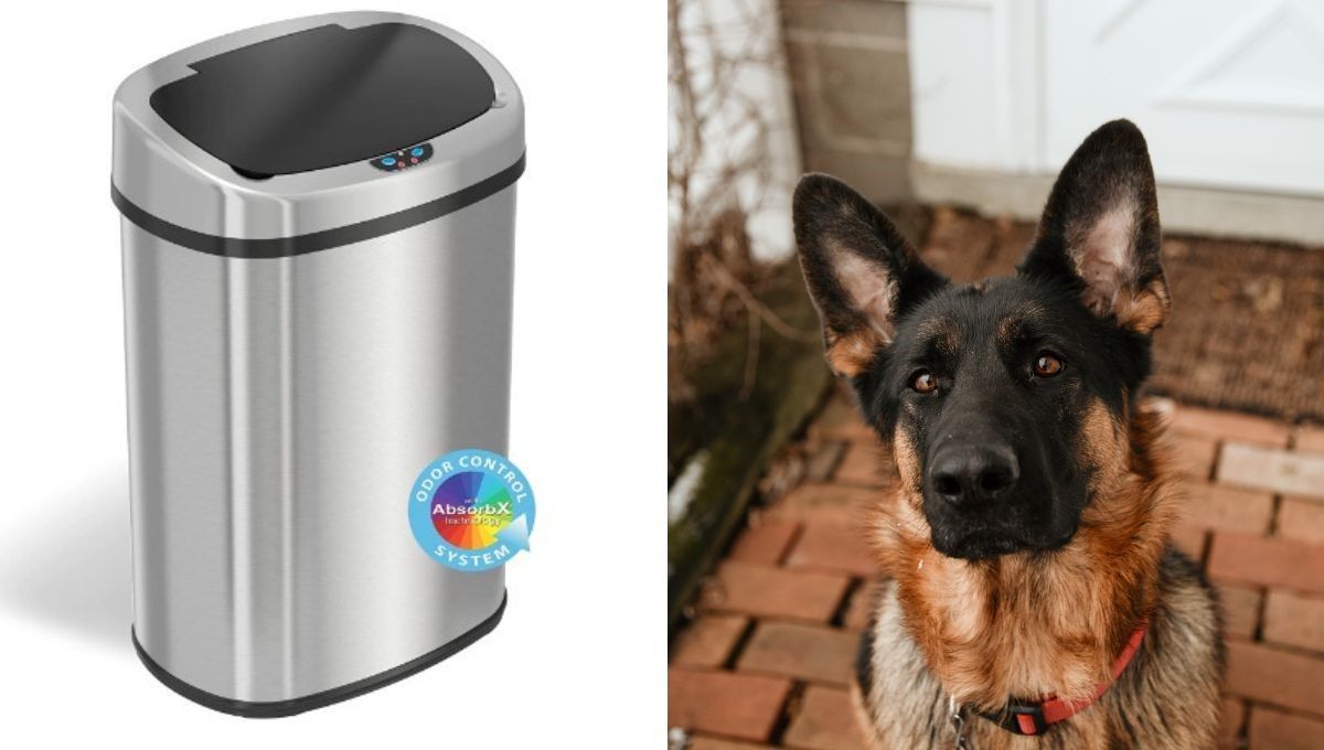 Canine Kryptonite The Indestructible Dog Proof Trash Cans