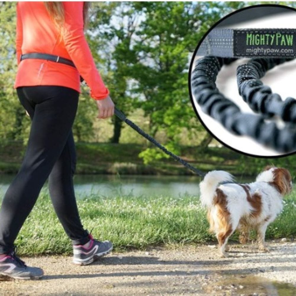 Unleash the Freedom: Amazon's Top Hands-Free Dog Leashes for Pawsitively Easy Walks!