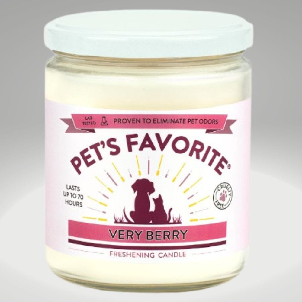 The Top 4 Candles for Pet Odour Neutralization on Amazon