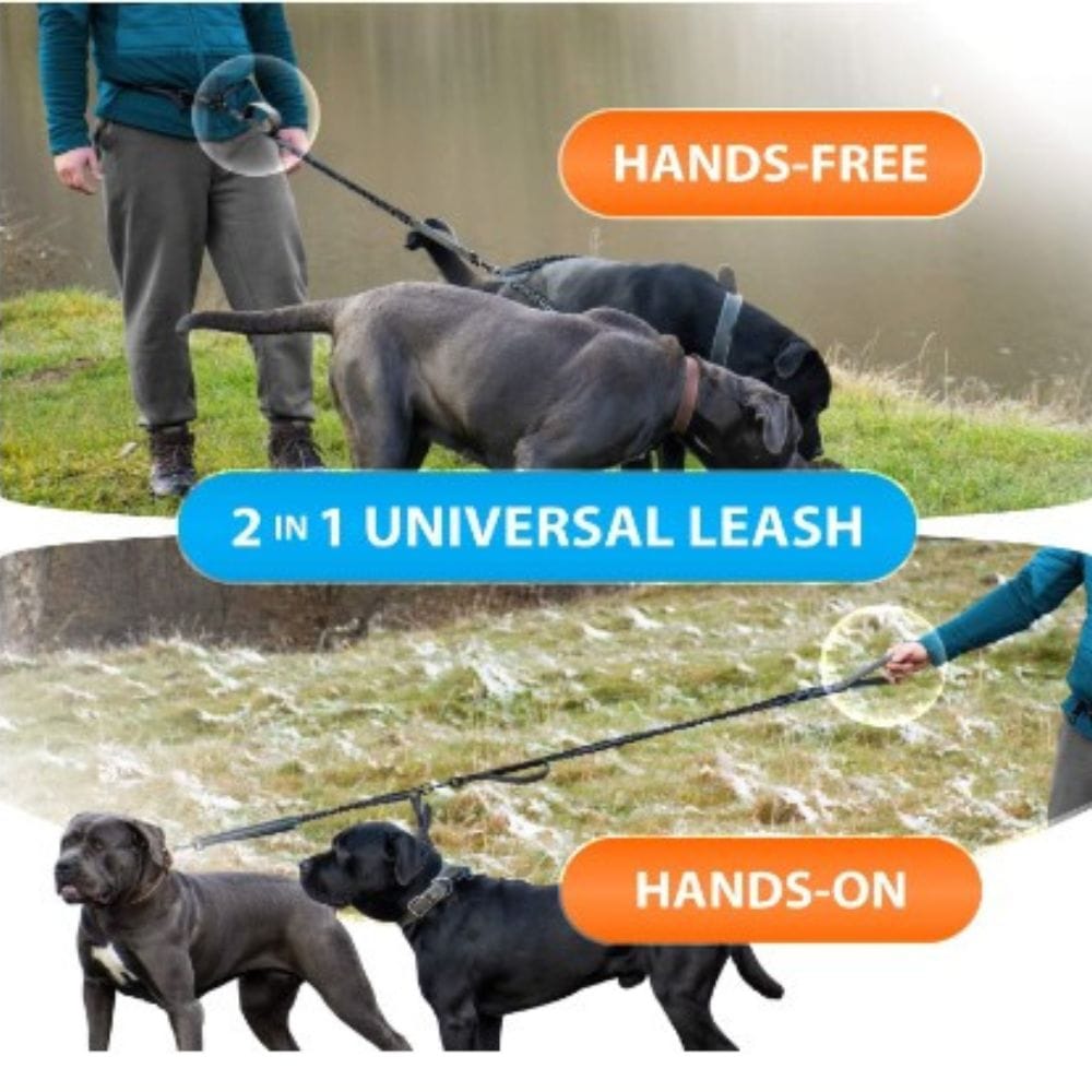 Unleash the Freedom: Amazon's Top Hands-Free Dog Leashes for Pawsitively Easy Walks!
