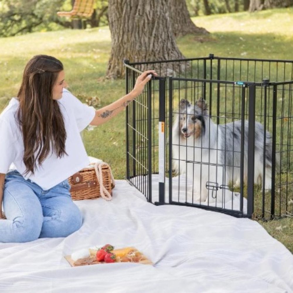 Unleash Freedom: Top-Rated Outdoor Dog Gates on Amazon