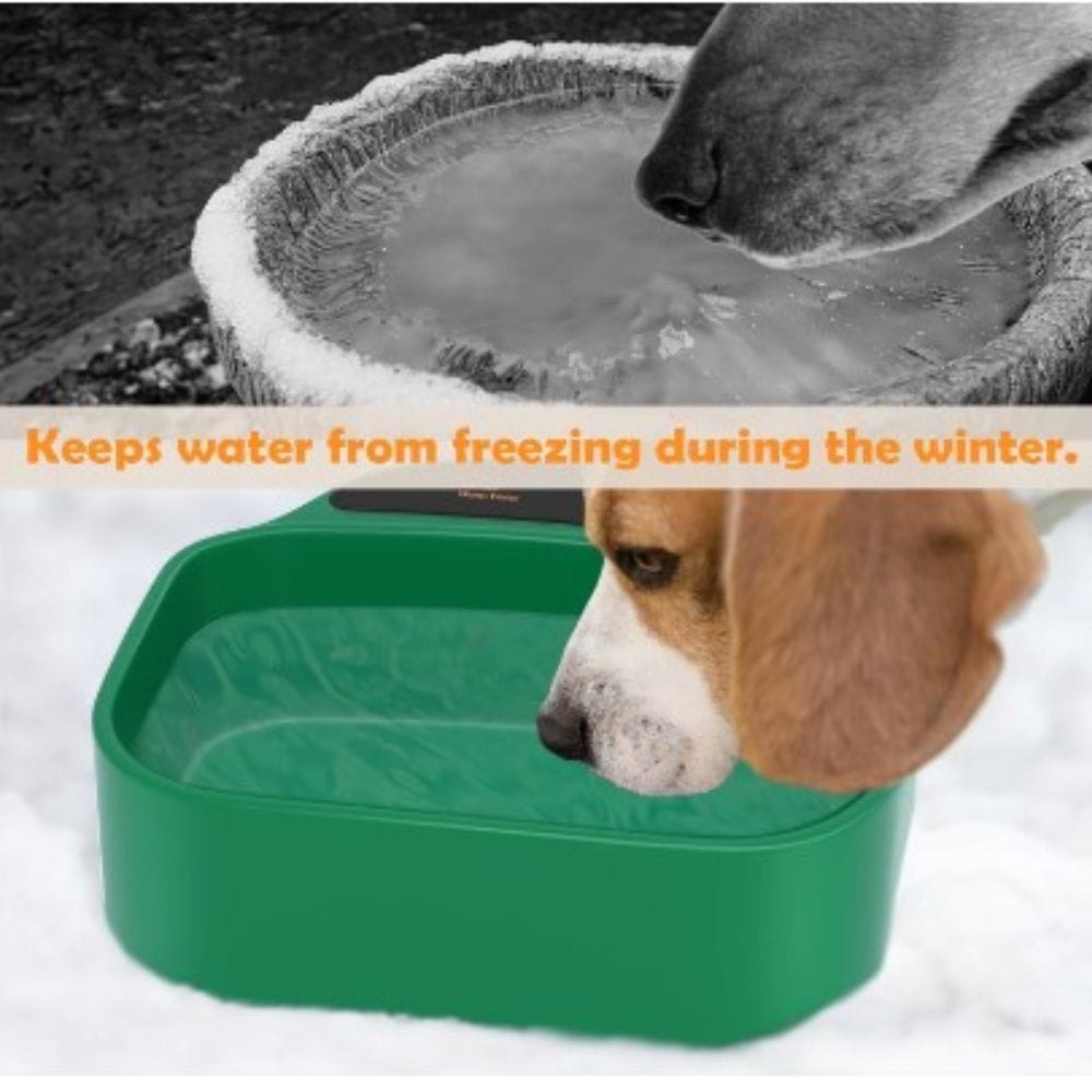 The Ultimate Guide to the Best Selling Heated Dog Bowls on Amazon