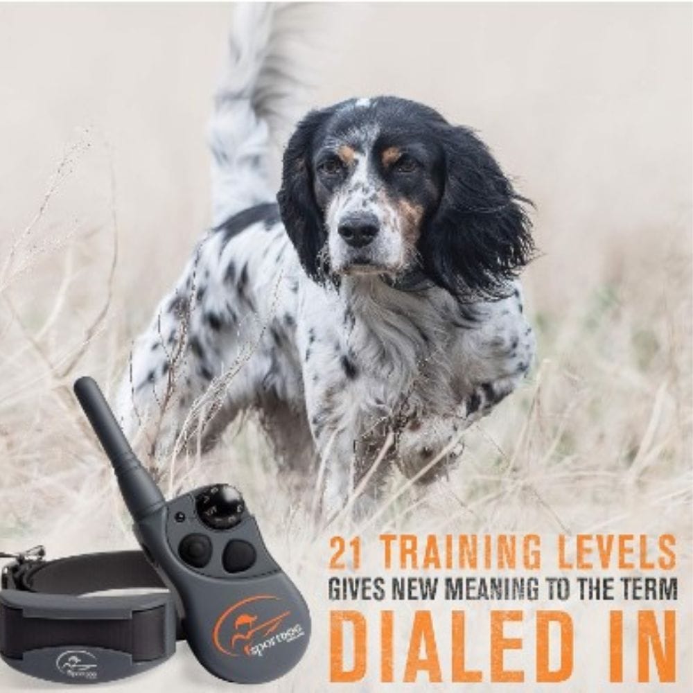 Collar Me Impressed: Top Remote Dog Training Collars on Amazon