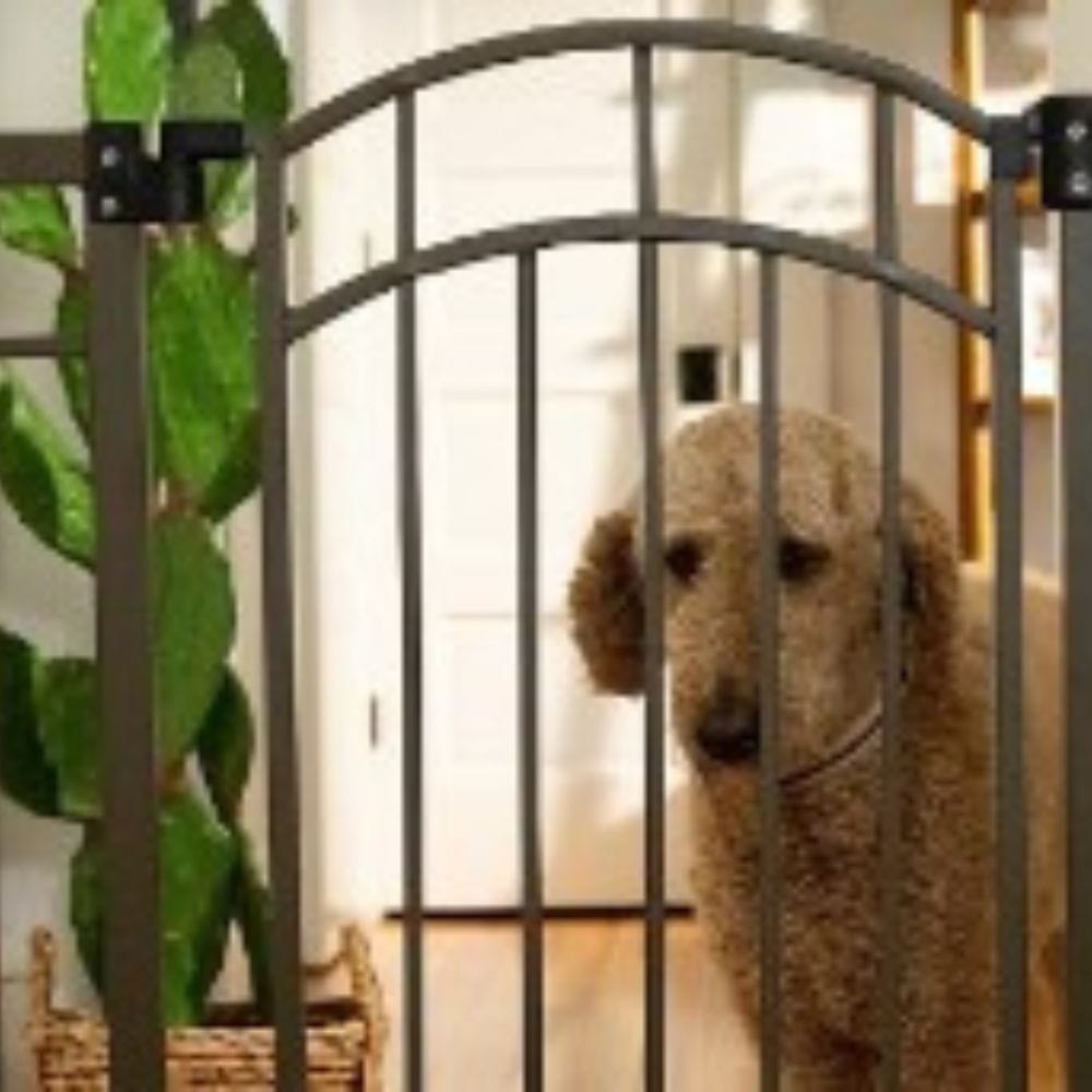 Unleash Freedom: Top-Rated Outdoor Dog Gates on Amazon