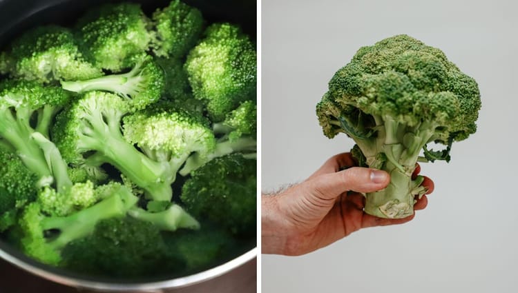 Bark-tastic Broccoli: Can Fido Go Green or Will He Stick to Steak?