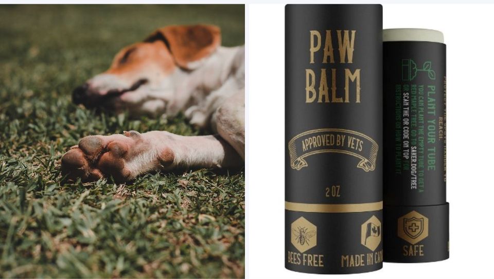 Best Paw Balms For Dogs