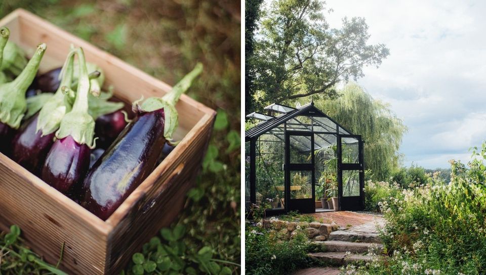 Growing 'Green' In The Great Outdoors: The Allure of Outdoor Greenhouses