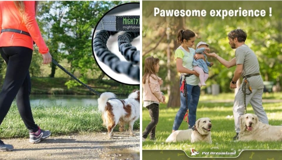 Unleash the Freedom: Amazon's Top Hands-Free Dog Leashes for Pawsitively Easy Walks!